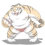  2015 anthro belly bulge clothing felid kemono male mammal meg_hoi moobs navel nipples overweight overweight_male pantherine simple_background solo tiger tongue tongue_out underwear 