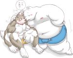  2016 anthro barazoku belly blush bulge canid canine canis clothing domestic_dog duo fur japanese_text kemono male mammal meg_hoi moobs muscular navel nipples overweight overweight_male polar_bear simple_background sitting text underwear ursid ursine white_background white_body white_fur 