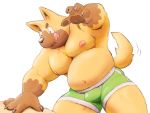  2018 anthro belly black_nose bulge canid canine canis clothing cute_fangs domestic_dog kemono male mammal meg_hoi moobs navel nipples simple_background slightly_chubby solo tongue tongue_out underwear white_background 