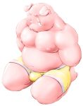  2018 anthro belly blush bulge clothing domestic_pig kemono male mammal meg_hoi moobs navel nipples overweight overweight_male pink_body simple_background solo suid suina sus_(pig) underwear white_background 