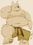  2017 anthro belly bottomwear bulge canid canine canis clothing domestic_dog kemono male mammal meg_hoi moobs navel nipples overweight overweight_male shorts simple_background solo 