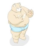  2016 anthro belly blush bulge clothing kemono male mammal meg_hoi moobs navel overweight overweight_male simple_background solo underwear ursid white_background 