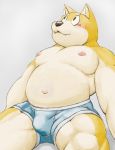  2018 anthro belly blush bulge canid canine canis clothing cute_fangs domestic_dog kemono male mammal meg_hoi moobs navel nipples overweight overweight_male simple_background solo underwear 