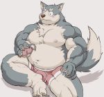  2016 anthro belly blush bulge canid canine canis clothing domestic_dog kemono male mammal meg_hoi moobs nipples overweight overweight_male simple_background sitting solo underwear white_background 