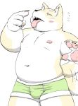  2017 anthro belly blush bulge canid canine canis clothing domestic_dog japanese_text kemono male mammal meg_hoi moobs navel nipples obese obese_male overweight overweight_male slightly_chubby solo text tongue tongue_out underwear 