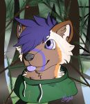  2020 absurd_res american_pine_marten anthro berry branch brown_body brown_fur bust_portrait cel_shading clothed clothing digital_media_(artwork) ears_up foggy food forest forest_background fruit fur grass hair hi_res hoodie kujo long_boi male mammal marten mustelid musteline ornage_fur pine_marten pine_needles pine_tree pinemarten plant portrait pupil purple_eyes shaded solo string teeth tongue tongue_out topwear tree water 