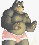  2017 anthro belly black_body black_fur bulge clothing fur kemono male mammal meg_hoi moobs navel nipples overweight overweight_male simple_background solo underwear ursid white_background 