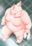  2017 anthro belly blush domestic_pig kemono male mammal meg_hoi moobs navel nipples overweight overweight_male pink_body solo suid suina sus_(pig) towel water 