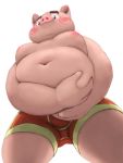  2020 anthro belly clothing domestic_pig humanoid_hands kemono male mammal meg_hoi moobs navel nipples overweight overweight_male pink_body simple_background solo suid suina sus_(pig) underwear white_background 