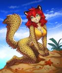  4_toes 5_fingers anthro asterozoan big_breasts breasts cleavage clothed clothing day detailed_background duo echinoderm felid feline female fingers green_eyes hair hi_res ketty kneeling mammal marine one-piece_swimsuit outside red_hair sky smile starfish swimwear toes whiskers 