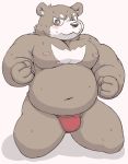  2016 anthro anvel belly bulge clothing humanoid_hands male mammal meg_hoi moobs nipples overweight overweight_male simple_background solo underwear ursid 