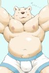  2017 anthro belly blush bulge clothing japanese_text kemono male mammal meg_hoi overweight overweight_male simple_background solo text underwear ursid 