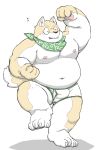  2016 anthro belly bulge canid canine canis clothing domestic_dog male mammal meg_hoi moobs navel nipples one_eye_closed overweight overweight_male simple_background solo underwear white_background wink 