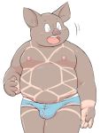  2018 anthro belly blush bulge clothing domestic_pig eyes_closed humanoid_hands kemono male mammal meg_hoi moobs navel nipples overweight overweight_male simple_background solo suid suina sus_(pig) underwear white_background 