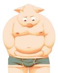  2018 anthro belly bulge clothing domestic_pig humanoid_hands kemono male mammal meg_hoi moobs navel nipples overweight overweight_male simple_background solo suid suina sus_(pig) underwear white_background 