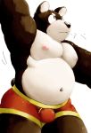  2018 anthro belly black_nose bulge clothing kemono male mammal meg_hoi moobs navel nipples overweight overweight_male simple_background solo underwear ursid white_background 