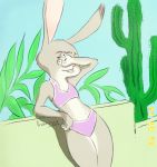 2018 anthro arm_support arm_tuft cactus cheek_tuft clothed clothing covering_face dipstick_ears disney elbow_tufts facial_tuft female francesca-ictbs fur grey_body grey_fur judy_hopps lagomorph leaning leaning_back leporid light lighting mammal midriff multicolored_ears plant rabbit signature solo swimwear tuft zootopia 