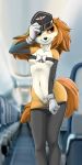  aircraft airplane anthro aviator_cap bird_dog canid canine canis cocker_spaniel diacordst domestic_dog female fur genitals hi_res hunting_dog mammal paw_patrol pussy skye_(paw_patrol) solo spaniel 