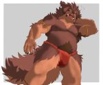  2020 5_fingers absurd_res anthro armpit_hair asian_clothing biped body_hair brown_body brown_fur canid canine canis clothing domestic_dog east_asian_clothing fingers fundoshi fur hair hand_behind_head hi_res humanoid_hands iroh_art japanese_clothing livestock_guardian_dog male mammal mastiff_(takemoto_arashi) molosser mountain_dog multicolored_body multicolored_fur muscular muscular_male nipples one_eye_closed open_mouth pastoral_dog pubes solo tibetan_mountain_dog tied_hair two_tone_body two_tone_fur underwear 