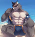  abs anthro armband beach bedroom_eyes blue_eyes bottomwear bulge canid canine canis cheek_tuft clothed clothing day detailed_background facial_tuft fur grey_body grey_fur head_tuft hi_res inner_ear_fluff kemono lifeguard looking_at_viewer male mammal midriff multicolored_body multicolored_fur muscular muscular_male narrowed_eyes neck_tuft nekojita nipples outside partially_clothed pecs pinup pose quads seaside seductive sitting smile solo spread_legs spreading swimming_trunks swimwear tight_bottomwear tight_clothing tuft two_tone_body two_tone_fur undressing water white_body white_fur wolf 