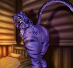  2020 anthro anus aquas_sirenix bed bethesda_softworks big_butt blush boob_grope breasts butt curvy_figure digital_media_(artwork) felid feline female fur furniture genitals green_eyes hand_on_butt hi_res khajiit long_tail looking_at_viewer looking_back mammal nude presenting presenting_anus presenting_hindquarters presenting_pussy purple_body purple_fur pussy raised_tail rear_view side_boob slightly_chubby solo spread_butt spreading stripes tavern the_elder_scrolls thick_thighs video_games voluptuous 