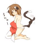  animal_ears bad_id bad_pixiv_id brown_eyes brown_hair cat_ears cat_tail chen earrings jewelry multiple_tails n_(2110_img07) nervous panties short_hair solo sweatdrop tail topless touhou underwear undressing 