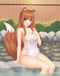  1girl absurdres animal_ear_fluff animal_ears bangs blush breasts brown_hair eyebrows_visible_through_hair fang highres holo keshigomu long_hair looking_at_viewer medium_breasts nude onsen open_mouth red_eyes sitting solo spice_and_wolf tail towel water wolf_ears wolf_tail 