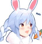  1girl animal_ears blue_hair blush braid bunny_ears bunny_girl carrot carrot_hair_ornament eyebrows eyebrows_visible_through_hair food_themed_hair_ornament hair_ornament hololive meme open_mouth parody pogchamp solo teriibol twin_braids twitch.tv usada_pekora virtual_youtuber white_background 