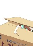  1girl box cacao_(nekopara) cardboard_box commentary dried_fish gobanme_no_mayoi_neko green_hair hair_between_eyes hat highres in_box in_container nekopara outstretched_arm paw_pose peaked_cap simple_background solo white_background yellow_eyes 