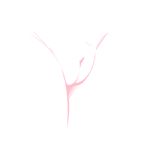  bird close-up commentary crane_(animal) lowres original pink_theme pussy sexually_suggestive thighs white_background yuuki_haru_(nyawate-sou) 