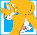  2020 anthro anus balls blue_eyes butt butt_focus canid canine clothing erection fox fur genitals gloves handwear hi_res looking_back male mammal miles_prower mostly_nude penis smile solo sonic_the_hedgehog_(series) stripes-the-raccoon video_games 
