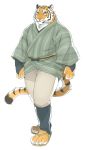  2016 anthro clothing felid giraffe_(artist) hi_res looking_at_viewer male mammal pantherine simple_background solo tiger white_background 