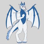  1:1 ambiguous_gender anthro blue_body blue_scales blush dragon fluffy fluffy_tail knock-kneed scales shy shyankitsu solo tagme wings 