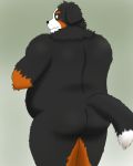  2020 4:5 anthro belly black_body black_fur black_nose blush butt canid canine canis domestic_dog fur hi_res kemono male mammal overweight overweight_male simple_background solo yaki_atsuage 