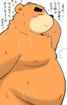  2020 animal_crossing anthro belly blush bodily_fluids brown_body brown_fur fur gayousi7 hi_res japanese_text kemono male mammal moobs navel nintendo nipples overweight overweight_male simple_background solo sweat teddy_(animal_crossing) text ursid video_games white_background 