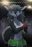  5_fingers abs anthro black_hair blood bodily_fluids bottomwear bra canid canine clothed clothing female fingers fur green_eyes grey_body grey_fur hair hi_res long_hair mammal midriff muscular muscular_female navel nayeliefox nosebleed shorts smile solo sports_bra underwear 