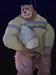  2020 absurd_res animal_crossing anthro balls belly blush bodily_fluids brown_body brown_fur clothing erection fur genitals hi_res humanoid_genitalia humanoid_hands humanoid_penis kemono male mammal night nintendo overweight overweight_male penis pubes shirt solo sweat teddy_(animal_crossing) topwear ursid video_games warr 