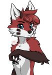  2020 annoyed_expression anthro biped canid canine cel_shading digital_media_(artwork) fox fur hair hi_res looking_at_viewer male mammal nude red_body red_fox red_fur simple_background slim solo solo_focus standing superfrodo white_background white_body white_fur 