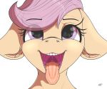  2020 absurd_res azerta56 digital_media_(artwork) equid equine eyebrows eyelashes female feral friendship_is_magic front_view hi_res looking_at_viewer mammal mouth_shot my_little_pony open_mouth scootaloo_(mlp) signature solo teeth tongue tongue_out 