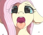  2020 absurd_res azerta56 digital_media_(artwork) equid equine eyebrows eyelashes female feral fluttershy_(mlp) friendship_is_magic front_view hi_res looking_at_viewer mammal mouth_shot my_little_pony open_mouth signature simple_background solo teeth tongue tongue_out white_background 