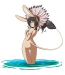  absurd_res aged_up anthro bunnybits butt dipodid female genitals headdress hi_res jerboa looking_back mammal nana_(bunnybits) native_american nude partially_submerged pussy rear_view rodent solo thigh_gap water 