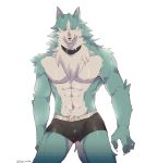  abs anthro black_clothing black_underwear blue_body blue_eyes blue_fur brand_new_animal bulge canid canine canis claws clothed clothing collar drakonika123 fur fur_tuft hi_res looking_at_viewer male mammal navel nipples pink_nipples shirou_ogami simple_background solo studio_trigger topless tuft underwear white_body white_fur wolf 