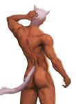  2020 animal_humanoid butt cat_humanoid felid felid_humanoid feline feline_humanoid hair hi_res humanoid male mammal mammal_humanoid muscular muscular_male nude rear_view scar simple_background solo tan_body tan_skin tengo white_background white_hair 