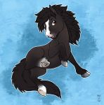  2020 black_body black_fur black_hair brown_eyes digital_media_(artwork) equid equine feral fur hair horse male mammal smile solo tanutanuki 