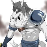  1:1 2013 ain_macdougal anthro black_nose canid canine canis chikuwabu clothing collarbone feda:_the_emblem_of_justice fur grey_body grey_ears grey_fur male mammal muscular muscular_male shoulder_guard solo white_body white_fur white_tail wolf 