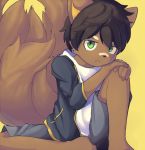  anthro black_hair black_nose bottomwear brown_body brown_fur canid canine clothed clothing fully_clothed fur green_eyes grey_bottomwear grey_clothing hair hand_on_knee hi_res mammal sihan simple_background solo white_clothing young 
