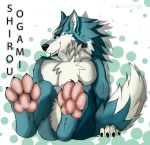  anthro black_nose brand_new_animal canid canine canis english_text foot_focus fur hi_res male mammal paws pawzzhky shirou_ogami sitting smile solo studio_trigger text were werecanid werecanine werewolf wolf 