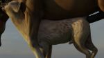  16:9 2020 3d_(artwork) anal anal_penetration animal_genitalia animal_penis digital_media_(artwork) duo equid equine equine_penis feral genitals hi_res hiad hyaenid male male/male male_focus male_penetrated male_penetrating male_penetrating_male mammal medial_ring outside penetration penis sex spotted_hyena widescreen 