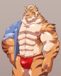  2020 abs absurd_res anthro biceps bulge clothing felid finger_claws fur fur_tuft hi_res jumperbear lin_hu looking_at_viewer male mammal multicolored_body multicolored_fur muscular muscular_male neck_tuft nekojishi pantherine portrait pose red_clothing simple_background three-quarter_portrait tiger tuft 