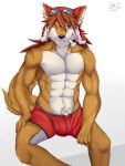  3:4 anthro bone boxers_(clothing) bulge canid canine canis clothing domestic_dog eyewear fur goggles hi_res male mammal muscular muscular_male orange_body orange_fur red_savarin smile solatorobo soliscanis solo spitz underwear video_games 